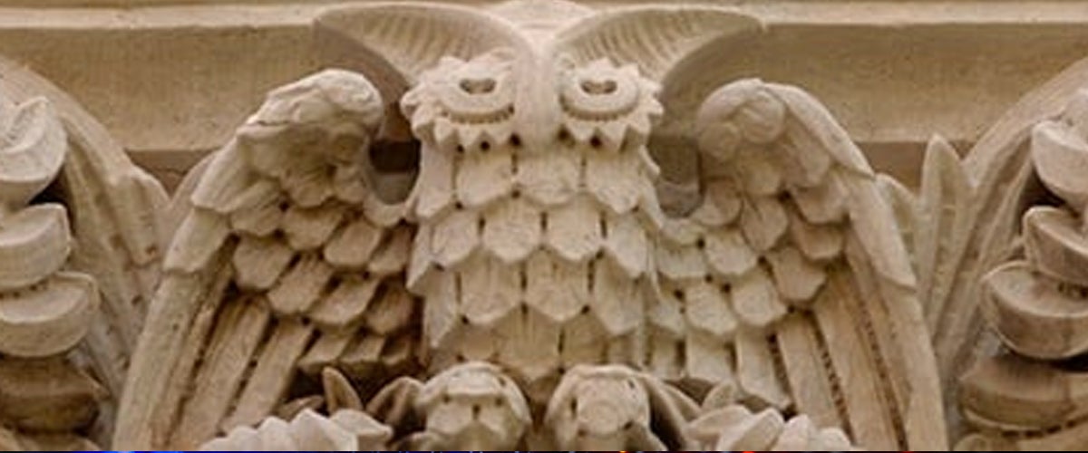 Owl relief